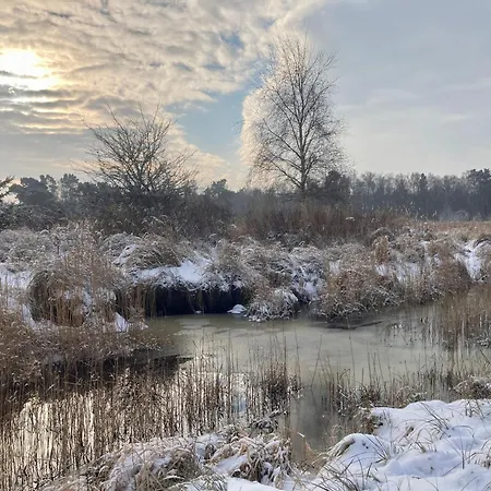 Ostsee Dierhagen-strand Klein&fein * Dierhagen