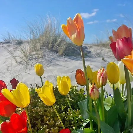 Lägenhet Ostsee Dierhagen-strand Klein & Fein *