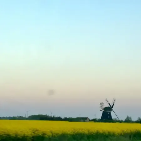 Apartment Ostsee Dierhagen-strand Klein&fein
