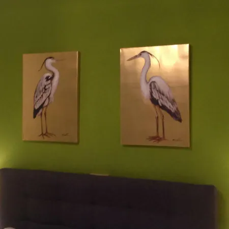 דירה Ostsee Dierhagen-strand Klein & Fein דירהאגן